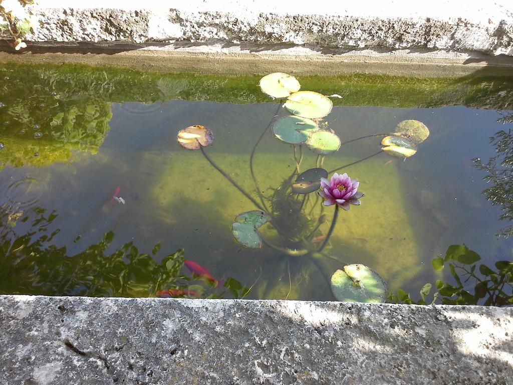 サトゥルニア Poggio Marioヴィラ エクステリア 写真