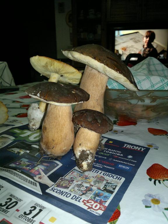 サトゥルニア Poggio Marioヴィラ エクステリア 写真