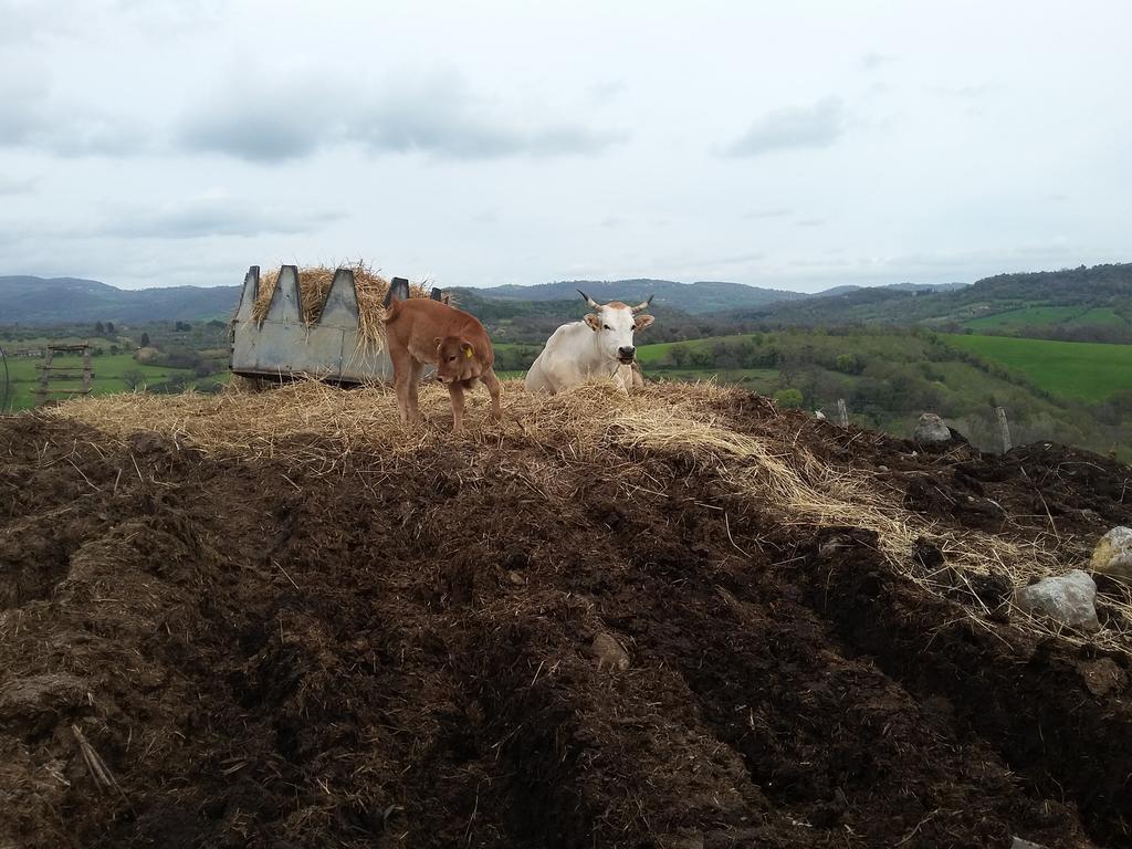 サトゥルニア Poggio Marioヴィラ エクステリア 写真